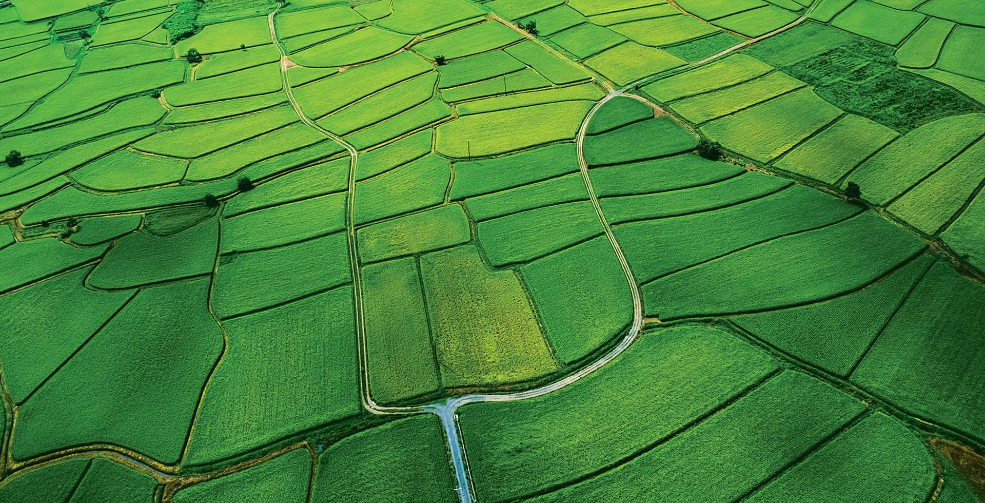 濰坊市晨陽(yáng)化工有限公司